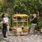 Vintiquewise Versatile Multi-Tier Shelves Wooden Rolling Cart - Perfect for Festival, Event Stand, Food Tasting Table, Garden Floral Display Rack, & Home Decor with Straw Roof and 2 Wood Wheels